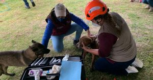 Spay y Spaike tras su rescate. Foto: Twitter @