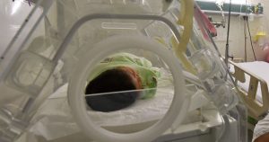 En el listado de decesos que se registraron a la fecha del 16 de julio, estos tres decesos pertenecen a los 20 que agregaron a la plataforma. Foto: Cuartoscuro.