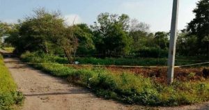 Yesenía tenía una herida en el cuello cuando fue encontrada en un terreno, Foto: Pulso SLP