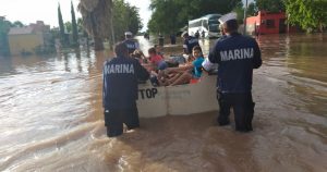 los daños reportados incluyen árboles caídos, acumulación de agua en comercios y domicilios, y cortos circuitos de instalaciones eléctricas. Foto: Cuartoscuro