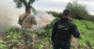 La situación de Latinoamérica contra los cárteles no mejora. Foto: Cuartoscuro