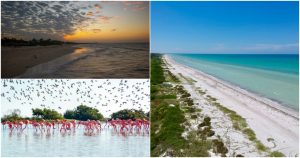 Yucatán tiene el mejor clima para ese bronceado espectacular, la foto bien iluminada y, sobre todo, una experiencia memorable. Fotos: Cortesía  