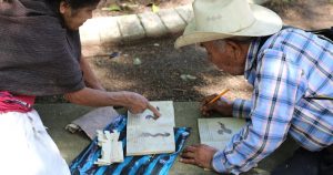 Don Alfonso Margarito García Téllez ha creado un un nuevo libro-códice. Foto: Artes de México 