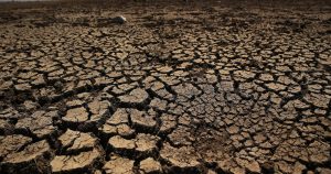 Los más vulnerables son las personas mayores y los más de mil millones de trabajadores que están expuestos a las condiciones ambientales en todo el mundo. Foto: EFE