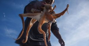 La primera captura ocurrió en un retén vial el 22 de julio, cuando la policía del estado descubrió 720 kilos de pulpos extraídos ilegalmente. Foto: Cuartoscuro.