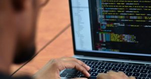 Existen organismos con notables habilidades cognitivas, tanto comparados con otros de su grupo como por su capacidad de resolver situaciones ajenas a su medio natural. Foto: EFE