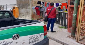 Personal jurídico y médico del Instituto de Bienestar Animal (IBA) informó que aparentemente se trató de un accidente. Foto: @CCSGobPue, Twitter.