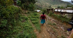 El coordinador en el Sistema de Seguridad y Justicia Comunitaria de la Coordinadora Regional de Autoridades Comunitarias-Policía Comunitaria (CRAC-PC) aclaró que los matrimonios forzados, por acuerdos de los papás, son una práctica común en las 13 comunidades de operación del Comité de Enlace de Dos Ríos. imagen ilustrativa.