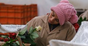 Parece ser que estímulos de origen olfatorio se mantienen más tiempo en la memoria que otros de origen visual. Foto: Graciela López, Cuartoscuro