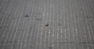 El intercambio de disparos se prolongó por más de media hora. Foto: Cuartoscuro