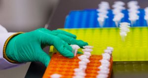 Muchísimas instituciones condenaron el abominable experimento que no debió haberse realizado. Foto: Aleksandar Plavevski, EFE