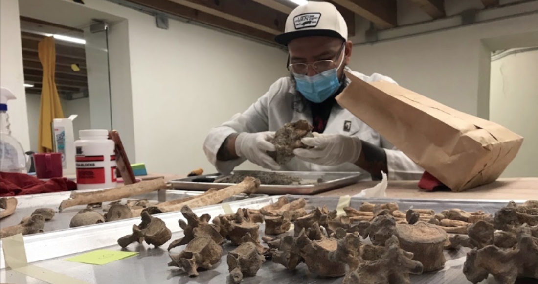 El INAH descubrió y recuperó entierros en las afueras del panteón de San Fernando.