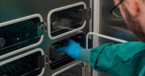 El funcionamiento de este "cerebro ciborg", como lo llama el investigador, difiere de los de la inteligencia artificial (IA) habitual. Foto: Facebook/Cortical Labs