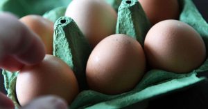 Los huevos contienen dos carotenoides llamados luteína y zeaxantina. Estos compuestos son captados por la mácula del ojo protegiéndola de su degeneración y el desarrollo de cataratas. Foto: EFE
