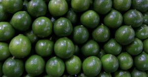 Productores de Michoacán han culpado a las cuotas del crimen organizado el aumento del precio del limón. Foto: Andrea Murcia, Cuartoscuro