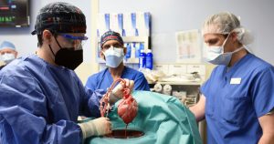 En esta fotografía proporcionada por la Facultad de Medicina de la Universidad de Maryland, unos médicos muestran un corazón de cerdo que fue trasplantado al paciente David Bennett, el viernes 7 de enero de 2022, en Baltimore. Foto: Mark Teske/Facultad de Medicina de la Universidad de Maryland vía AP