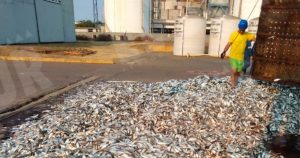 Foto: El Sur Acapulco