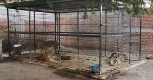 La FGE informó que sus agentes cumplieron este martes 15 de febrero una orden de cateo que concedió un Juez de control. Foto: Twitter vía @FGEGuerrero