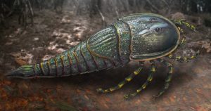 Los investigadores determinaron que la especie, a la que denominaron Woodwardopterus freemanorum, vivió hace 252 millones de años. Foto: Queenland Museum