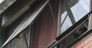 El cuerpo fue trasladado por personal de la Fiscalía al anfiteatro indicado para que se lleven a cabo los servicios periciales correspondientes. Foto: Rogelio Morales, Cuartoscuro