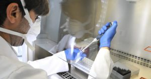 Así como la edad es una variable que se va modificando con el paso del tiempo, el ADN es una biomolécula estable. Foto: Miguel Angel Molina, EFE