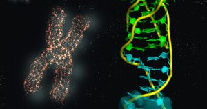 Un genoma completo no lo recoge todo. Se siguen realizando esfuerzos para crear diversas referencias genómicas que representen plenamente la población humana y la vida en la Tierra. Foto: CSIC vía EFE