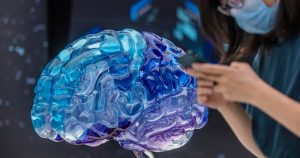 Lo expuesto en este artículo señala la posibilidad, con base en todos los avances, de generar posibles procedimientos para recuperar la visión a través del cerebro cuando nuestros ojos se vean dañados. Foto: Alex Plavevski, EFE/EPA