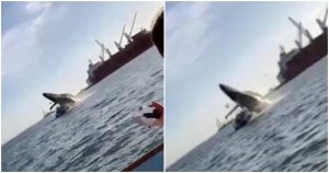 La escena quedó registrada en varios videos, los cuales fueron compartidos en redes sociales. Foto: Especial