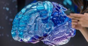 En contraste con lo que pasa en otras especies con el sentido del olfato más desarrollado, la producción de neuronas que se incorporan a los bulbos olfativos es muy poco importante en humanos adultos. Foto: Alex Plavevski, EFE/EPA