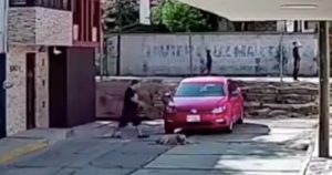 Un hombre atropelló a un perrito que tomaba el fresco y dormía justo frente a su auto. Foto: Captura de pantalla.