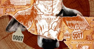 El "blaqueo de ganado" permite el tráfico ilegal de los animales. Imagen: Insight Crime