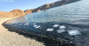 Expertos de la Universidad Autónoma de Baja California Sur y de la Comisión Nacional de Áreas Naturales Protegidas realizaron monitoreos e inspecciones. Foto: Cortesía vía ZETA