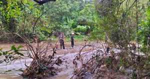 Foto: Protección Civil-Guerrero vía El Sur