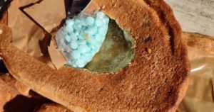 Foto: Cortesía vía Guardia Nacional