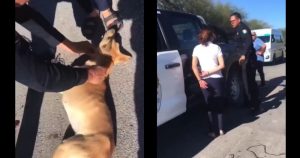 VIDEO: Perrita es arrastrada por mujer que conducía una moto en SLP; la rescatan