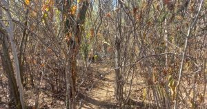 El sitio era un lugar como lo es toda la zona, ubicado en una carretera sin mucho tráfico. Foto: Ríodoce. 