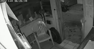 Foto: Captura de pantalla