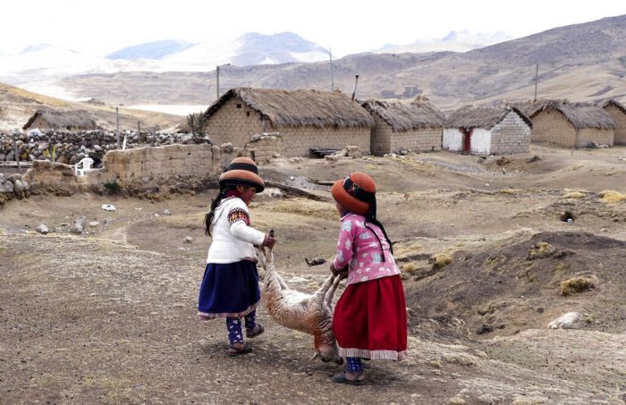 Niñas cargan una oveja moribunda en la comunidad de Cconchaccota en la región Apurímac de Perú, el sábado 26 de noviembre de 2022.
