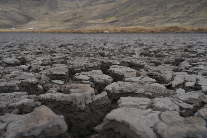 Una corteza seca en el lecho de la laguna de Cconchaccota en la región Apurimac de Perú, el viernes 25 de noviembre de 2022.