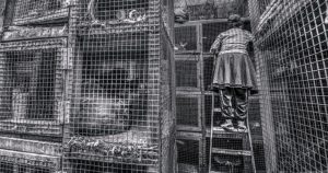 Revocar el silencio. Foto: Artes de México 