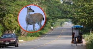 Foto: Especial vía Por Esto