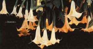 En México, el contacto con los dioses mediante la ingestión de psicotrópicos o enteógenos es uno de los elementos constitutivos. Foto: Artes de México 