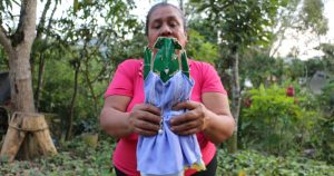 Recorte de papel del chile. Foto: Artes de México