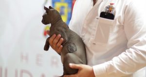 Foto: Gobierno de Ciudad Juárez