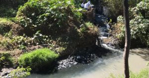 Río Atoyac, Tlaxcala. Foto: Twitter Shayda EdwardsNaficy / ToxiTour