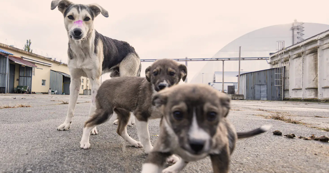 Foto: Clean Futures Fund