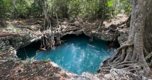 Leona Vicario se ubica en el municipio de Puerto Morelos, en Quintana Roo. Foto: Especial