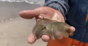 Foto: Twitter @elalbertomedina