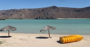 Buzas son arrolladas por embarcación turística en La Paz, BCS; sufren heridas graves