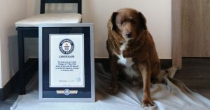 Foto: Guinness World Records